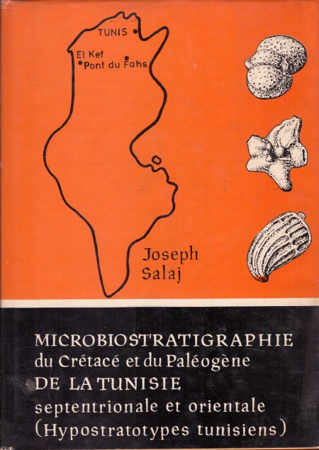 Microbiostratigraphie du cretace et du paleogene de la Tunisie septentrionale et orientale (Hypostratotypes tunisiens)