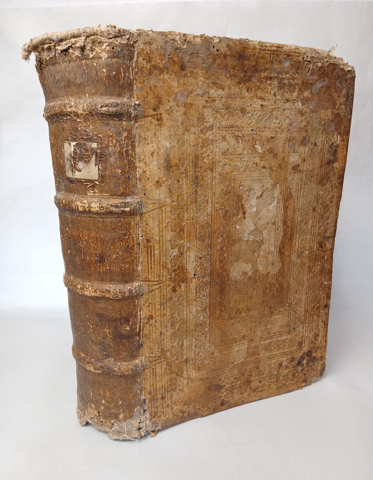 Viridarium Regium Illustrium miraculorum et historiarum. Daß ist Königlicher Lustgart : Darin die aller vortrefflichsten Miraculn und Historien, so Gott Zu allen Zeiten, an berümbten orten, bey heiligen Sachen