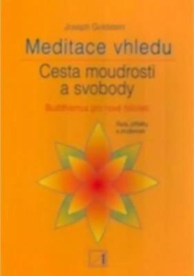 Meditace vhledu