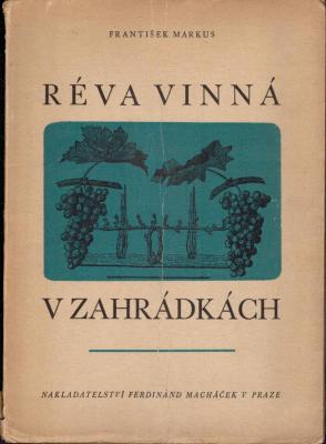 Réva vinná v zahrádkách