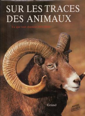 Sur les traces des animaux