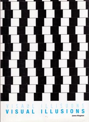 Visual Illusions