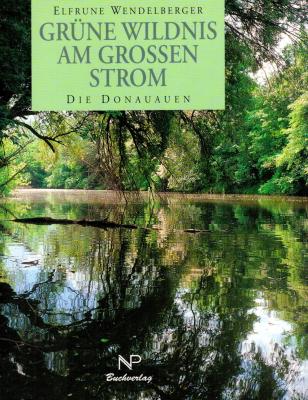 Grüne Wildnis am großen Strom