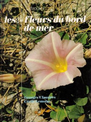 Découvrir les fleurs du bord de mer