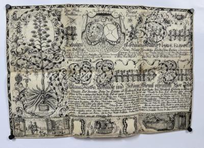 [Výučný list na pergamene, Potvrdenie od hlavného záhradníka Herculesa Biusa Bianny Rossy]